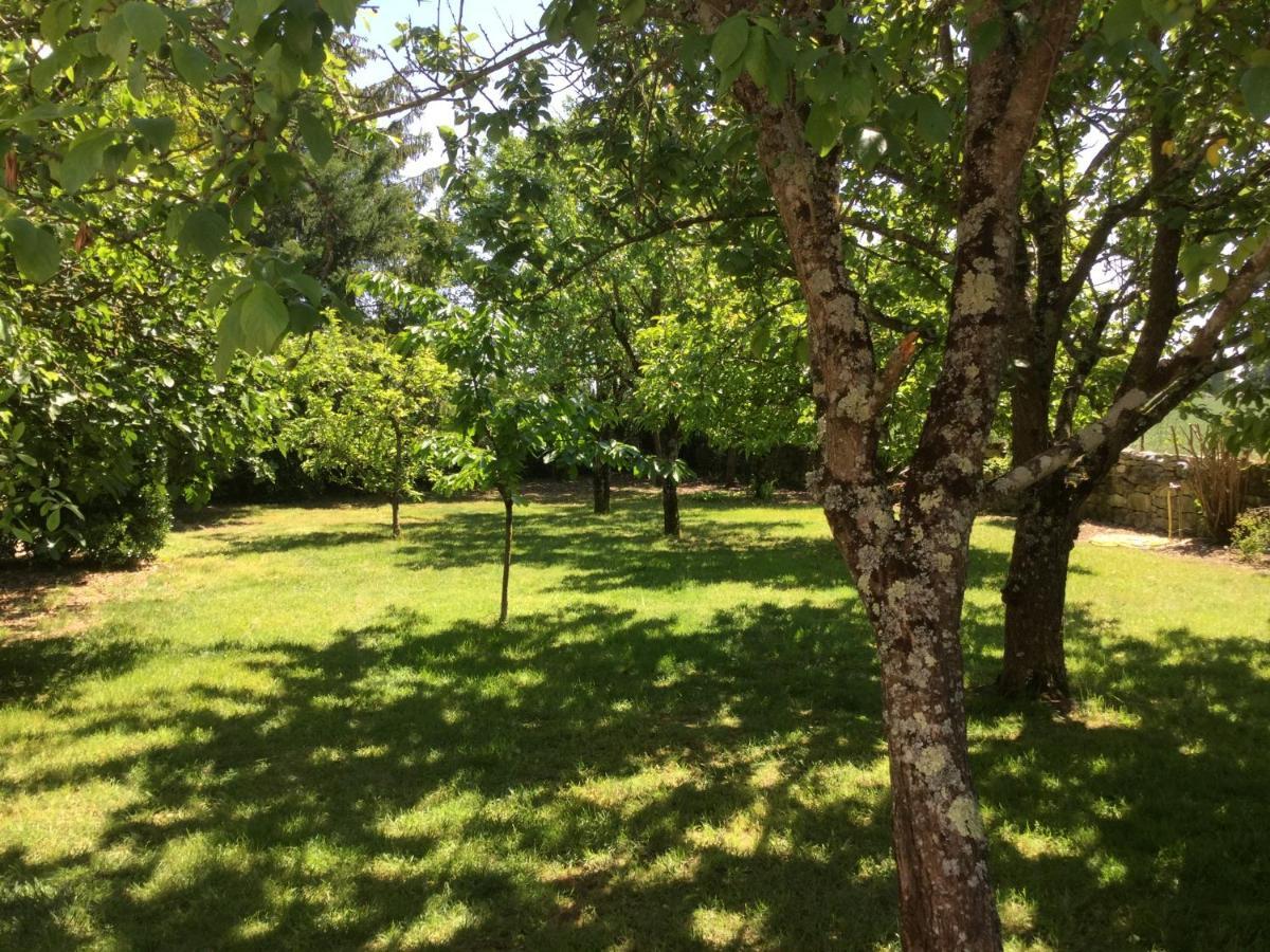 Aulnay  Les Noyers Aulnay B&B 외부 사진